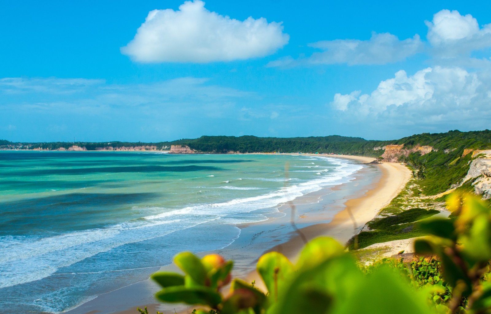 Um Dia Perfeito em Pipa: Descubra o Encanto do Litoral Potiguar