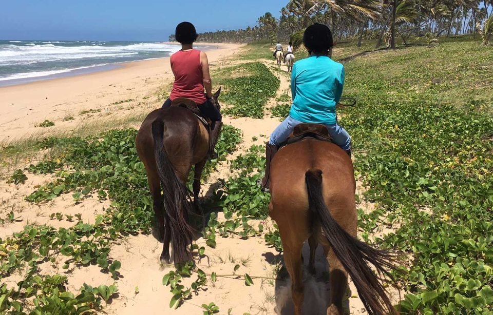 Maruwá - Passeio a cavalo